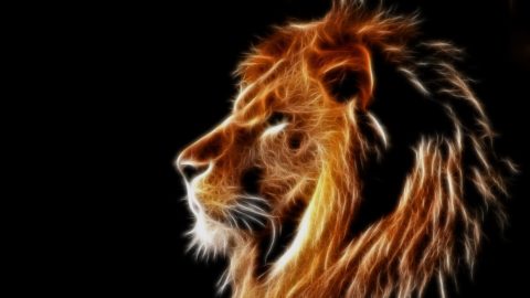 Roaring Lion Wallpaper | Backgrounds | Photos | Images | Pictures – YL ...