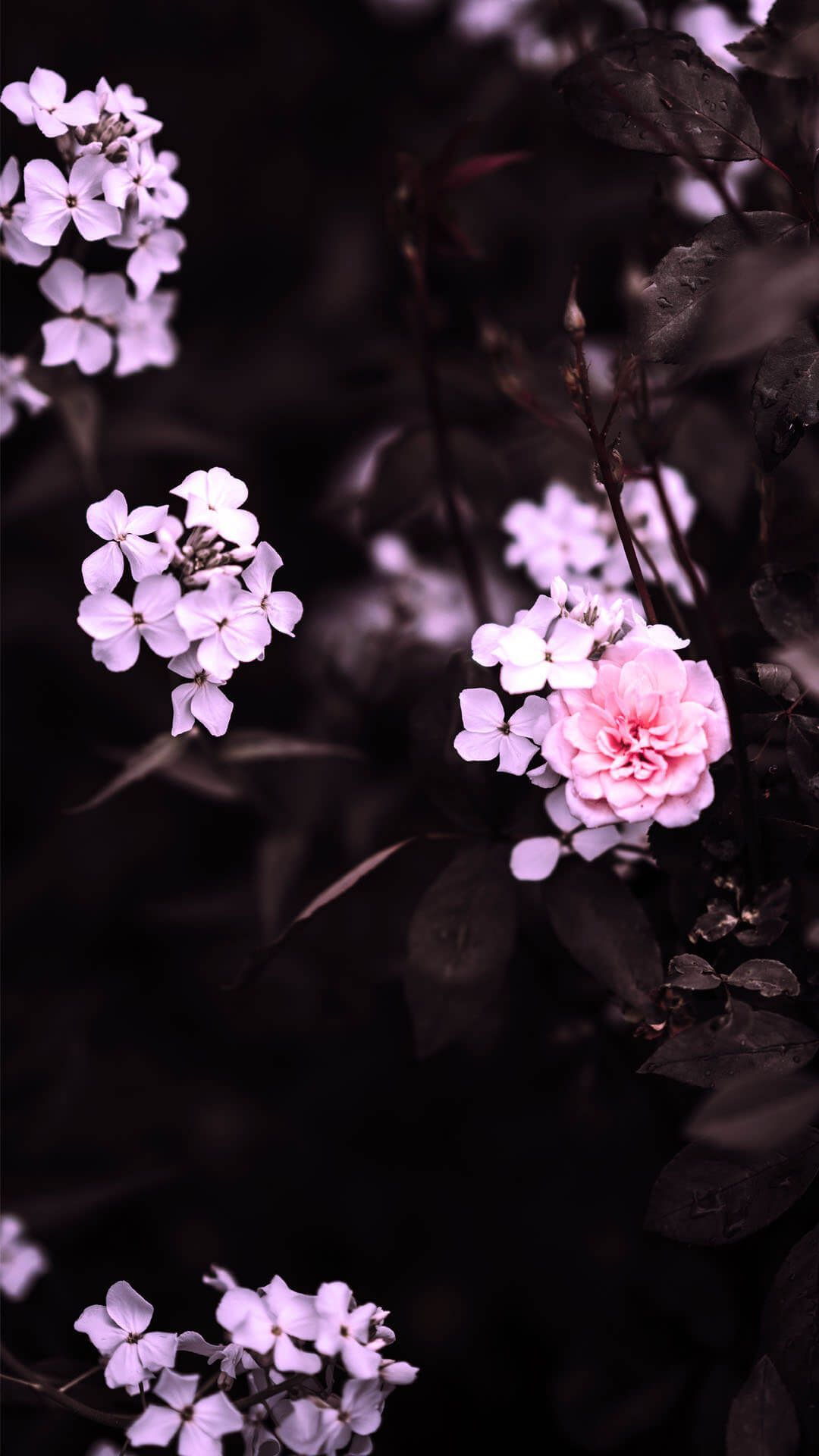 Flowers Aesthetic Wallpaper Landscape For Different Spaces