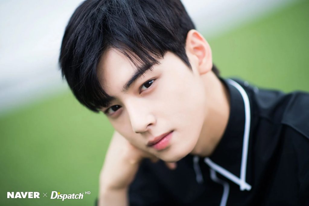 Cha Eun Woo Laptop Background Images and Wallpapers – YL Computing